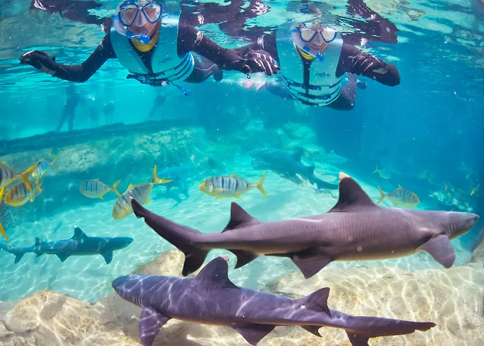 Staybridge Suites Orlando At Seaworld By Ihg - Free Parking & Shuttle To Seaworld Parks